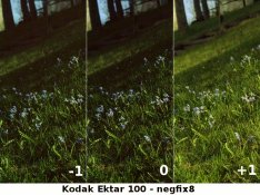 Ektar 100 test.jpg