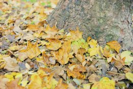 vision3-herbst2-online.jpg