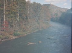 Bridge1.jpg