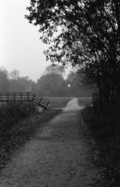 s89-35mm-021.jpg