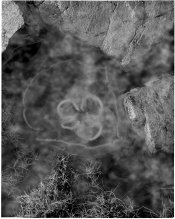 4x5-fogging-3.jpg
