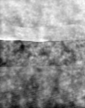 4x5-fogging-5.jpg