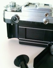 IMAG7804-1.jpg