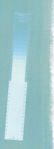 img003.png
