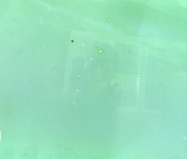 test ek 100003.jpg