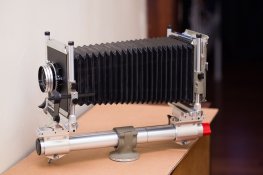 DL-6.jpg