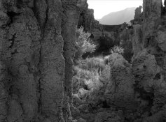 Mono Lake #2 reduced for upload.jpg