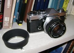 DSC08955.JPG
