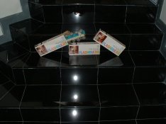 DSCF0008.JPG
