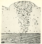 x section hq one spot.jpg