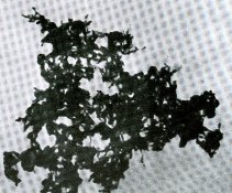 development - chemical.jpg