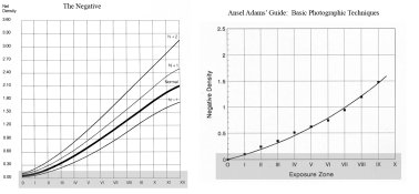 The Negative and AA Guide.jpg