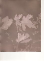 scan0006.jpg
