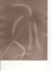 scan0007.jpg