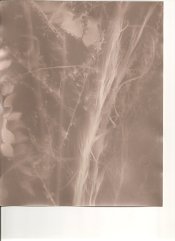 scan0008.jpg