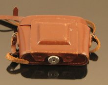 IMG_1581a.jpg
