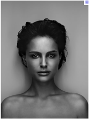 Screen shot 2010-12-28 at 3.11.49 PM.png