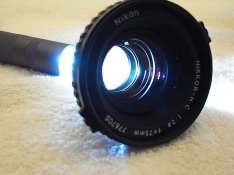 R1108172.JPG