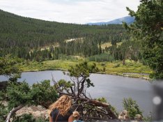 lily lake 2.jpg