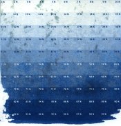 Cyanotype test strip.jpg