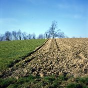 C330f-Provia100F-001-WEB.jpg