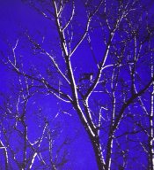 IMG_0570.JPG