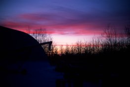 2017-01-23-0006.jpg