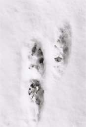 Roll1_C466797-R1-11-11.JPG Roll1_C466797-R1-11-11.JPG