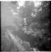 346_Acros_01.jpg 346_Acros_01.jpg