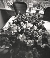 Pinhole-3.jpg