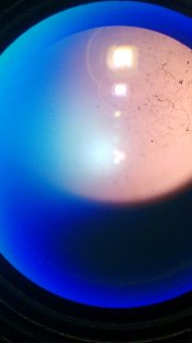IMG_20170204_013903799.jpg