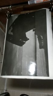 test strip photo..jpg