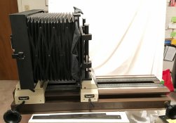 IMG_2982.jpg