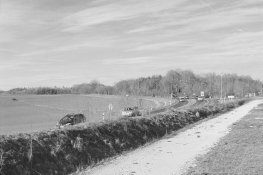 01apx400-test-landscape-14_s.jpg