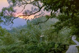 fuji-commercial400-019-2_s.jpg
