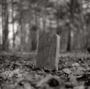 img660b.jpg