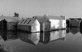 Reflections.jpg Reflections.jpg