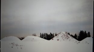IMG_20170330_160831.jpg