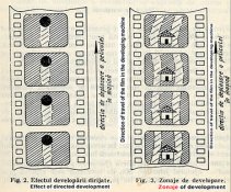 Effect of directed development and zonaje of development redus.jpg