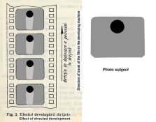 Effect of directed development new redus.jpg