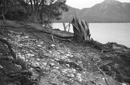 Aboriginal Midden copy AP.jpg