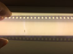 image1.JPG