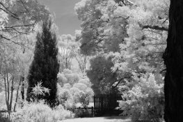 Front yard.jpg