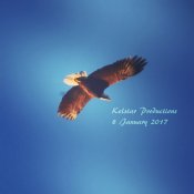 IMG_1687.JPG