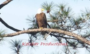 IMG_1721.JPG