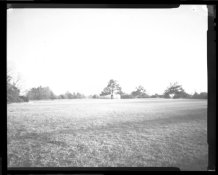 Pasture - 10 sec.jpg