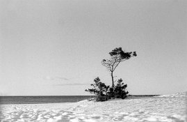 Furu_Storesand01web.jpg