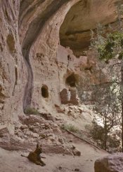 IMG025CoyoteRD.jpg