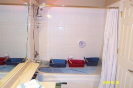 trays 1.jpg