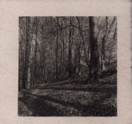 20170528-Cyanotype_2017-05-28_Scan-170528-0001-2-2.jpg